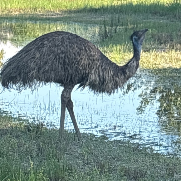 NEW Share Game (9) 2024 Please like new listing! - Picture 8 of 9